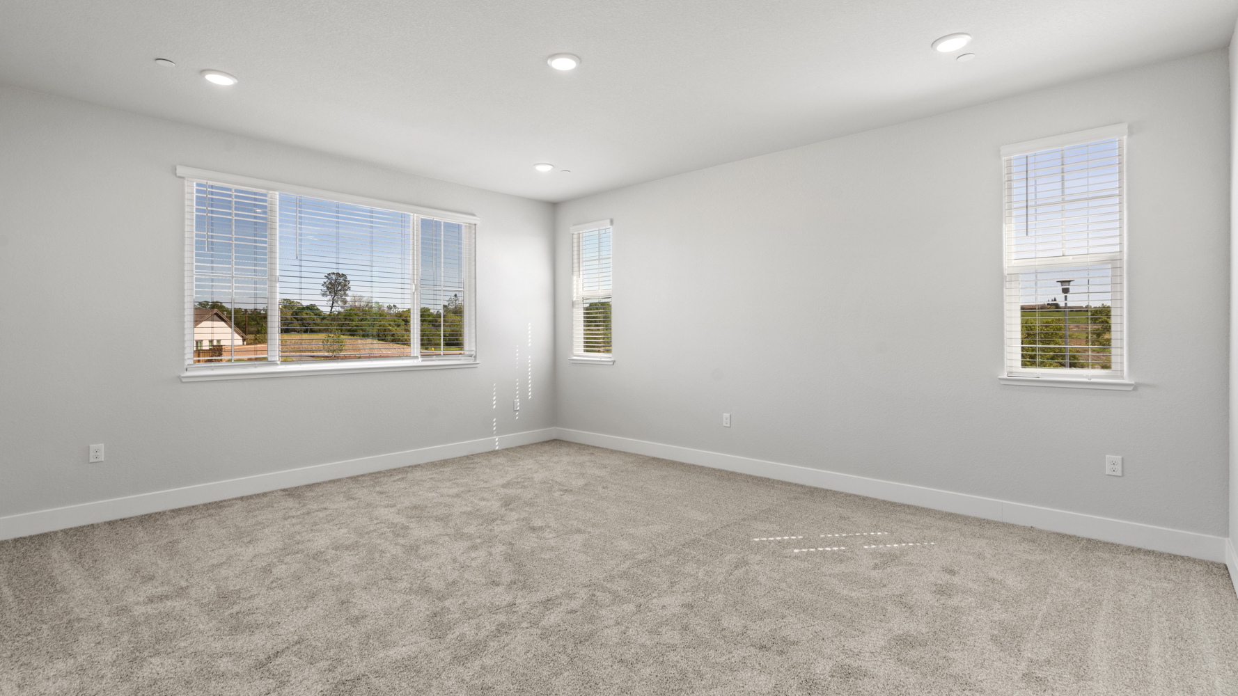 A room with windows and a carpet.