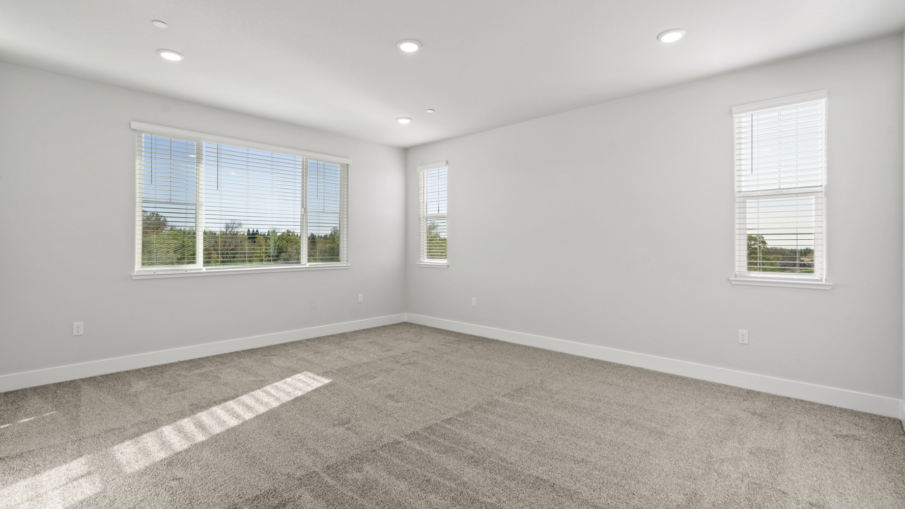 A room with windows and a carpet.