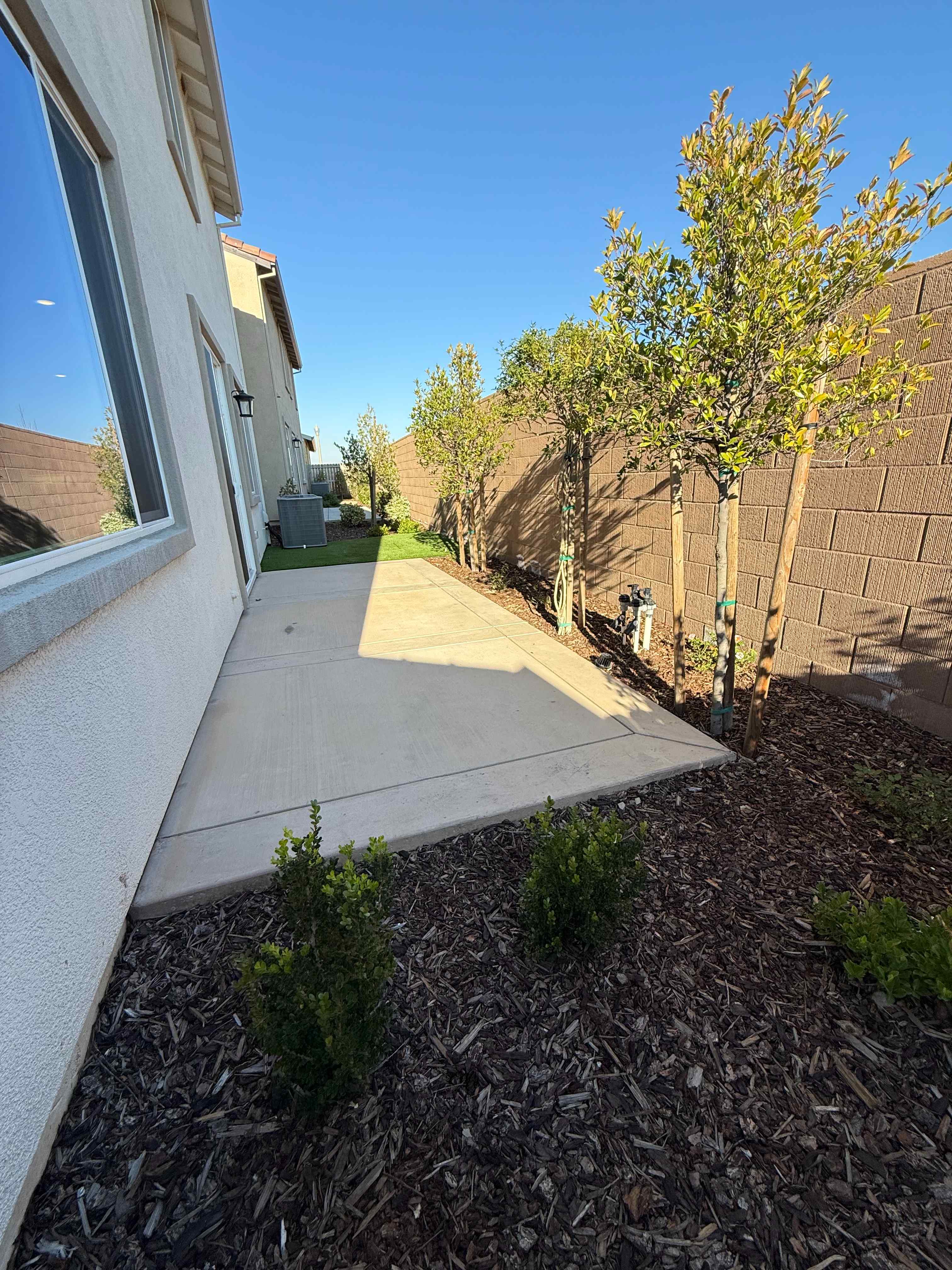 A sidewalk and some trees.
