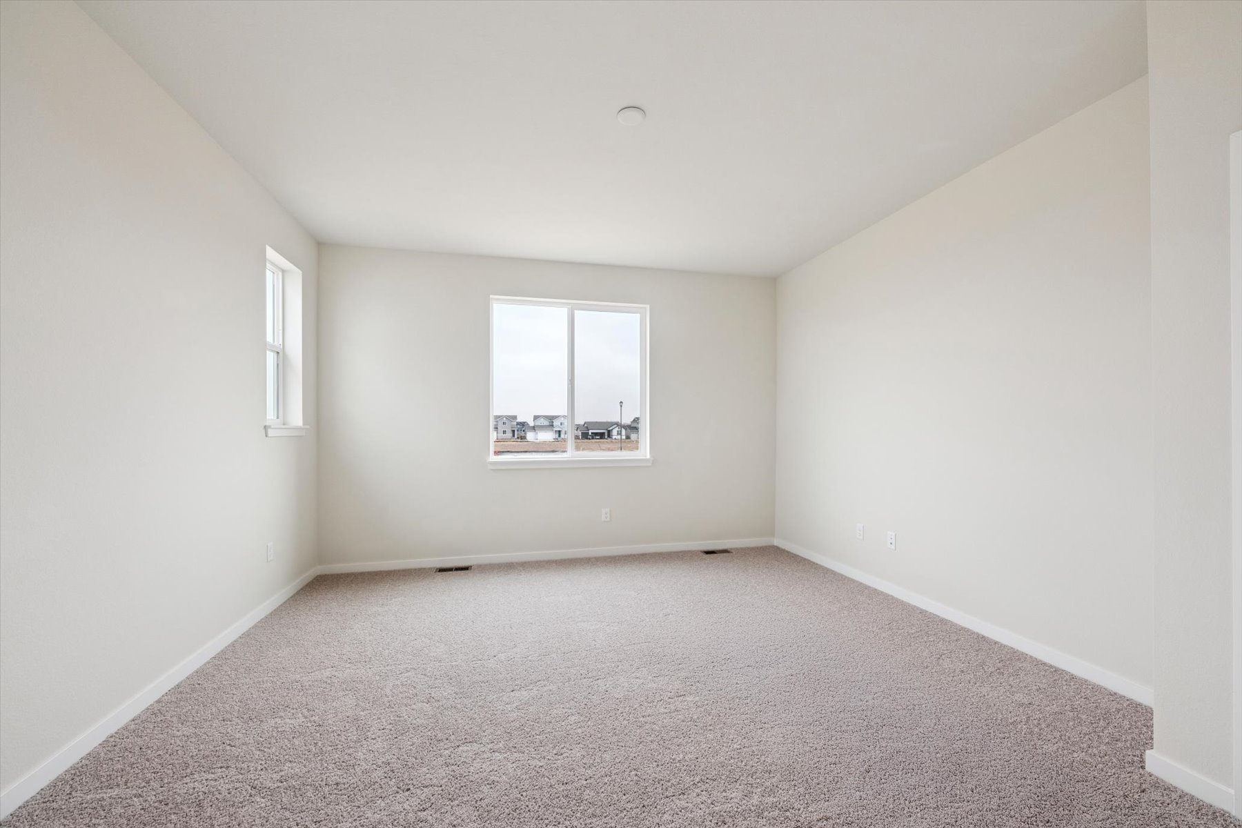 A room with a carpet and windows.