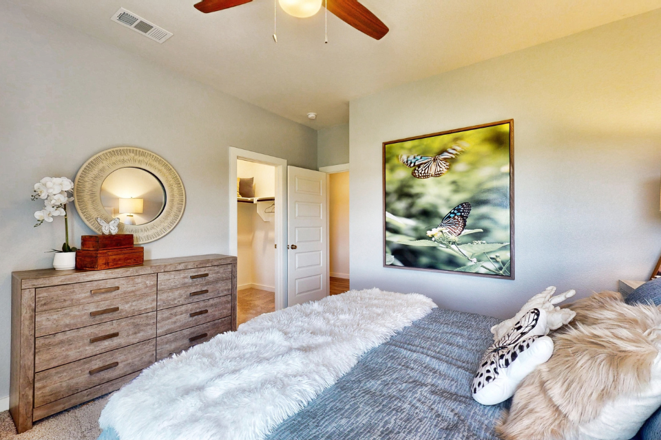 A dog lying on a bed.