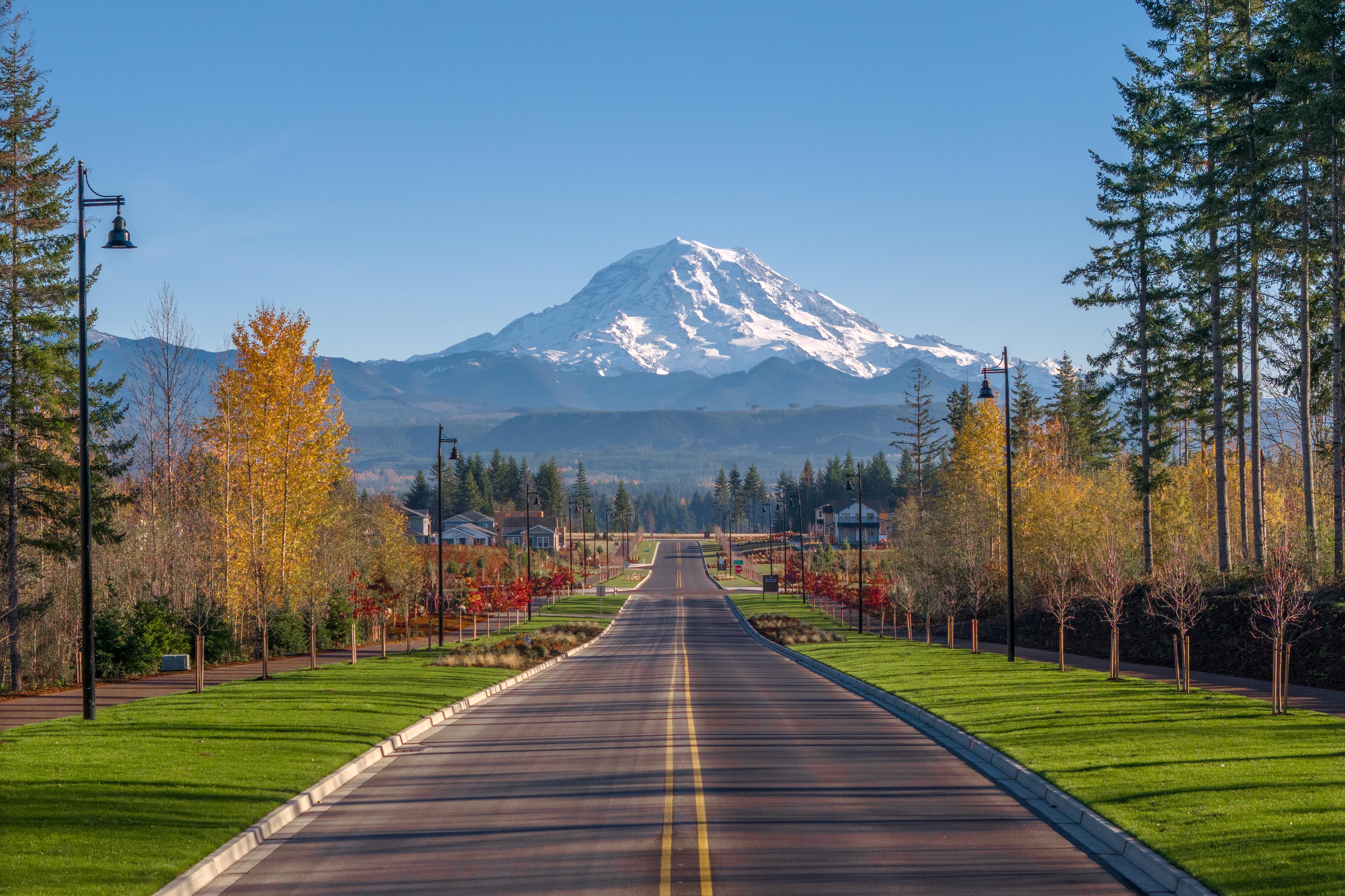 A road with trees and grass on the side with a mountain in the background.