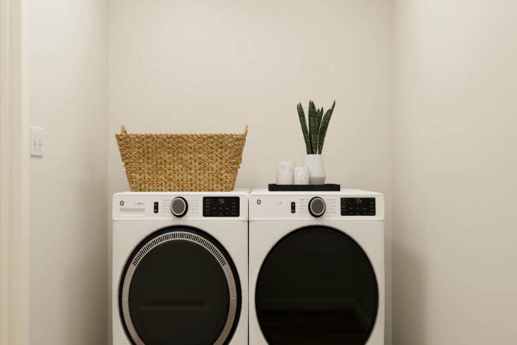 A white wall with a washing machine and a plant on it.