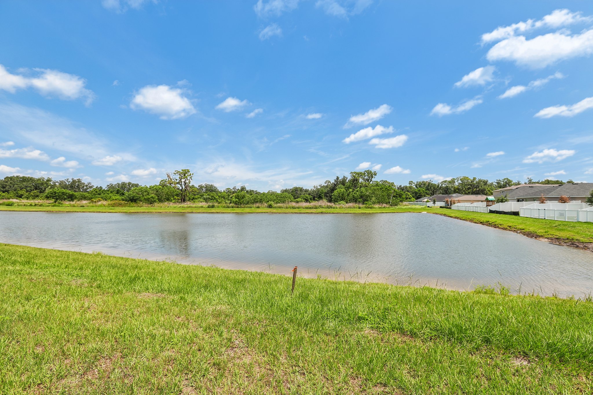 A body of water with grass and trees around it.